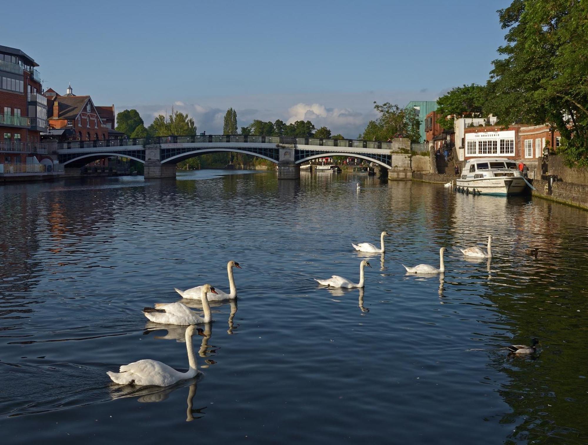 Top Floor En-Suite Double Bedrooms With Great View Of Windsor Castle & Free Parking 외부 사진